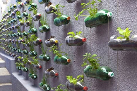 Vertical garden with recycled bottles